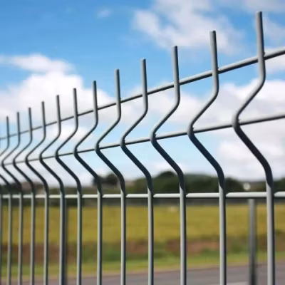 中国工場粉体塗装庭の柵のトレリスの庭のフェンスのパネルのための 3D 湾曲した金網のフェンス パネル